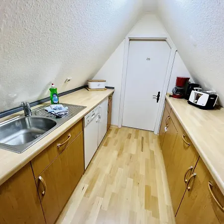 Blaue Tulpe, Balkon Mit Traumblick