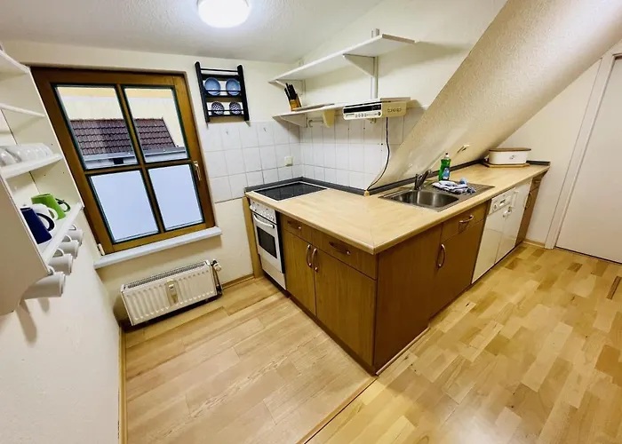 Blaue Tulpe, Balkon Mit Traumblick